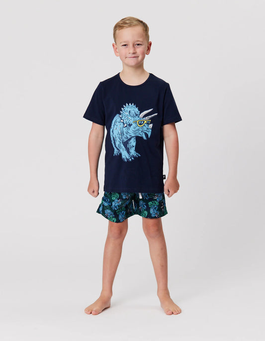 RADICOOL DUDE TROPICAL DINO BOARDIES